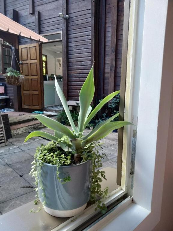 Chalet Ohana, Airport Family House Faaa ภายนอก รูปภาพ